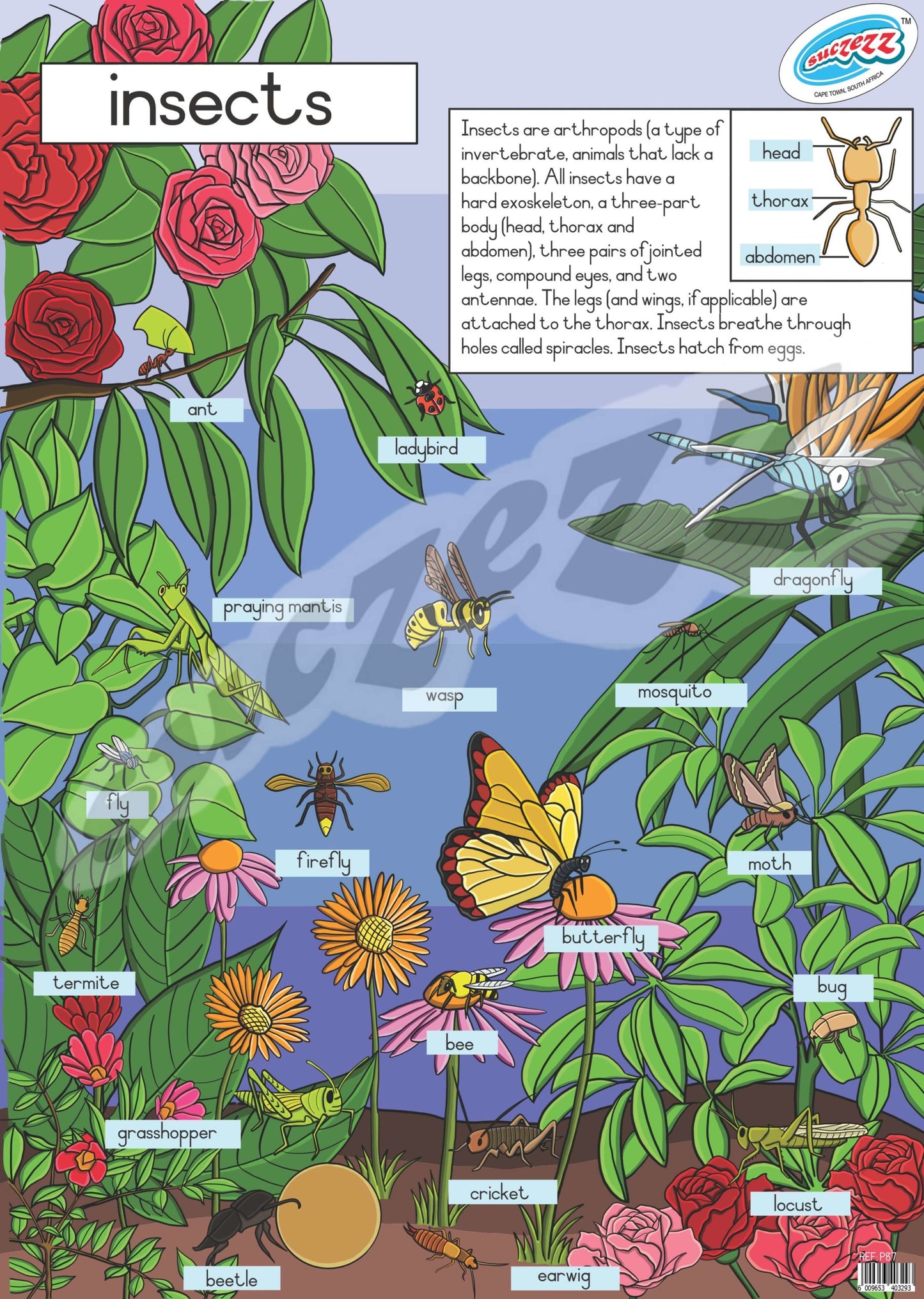 Pro Insect Poster Poster - Insects – Edunation