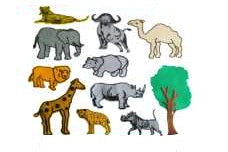 Felt - Wild  Animals