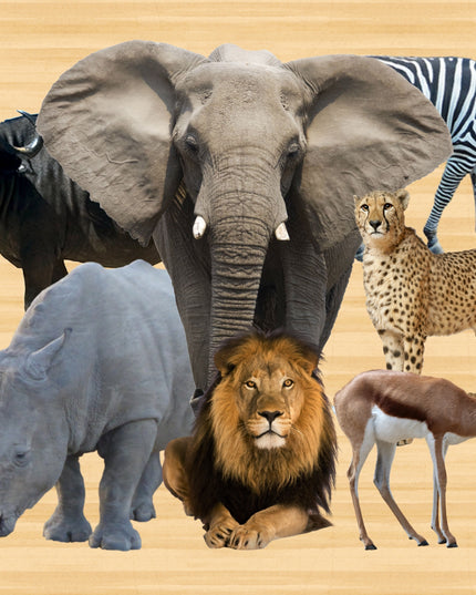 Wooden Puzzle Frame A4  - 9pc Wild Animals Edunation South Africa A4 Frame Puzzles