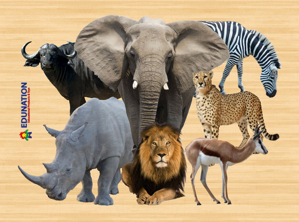 Wooden Puzzle Frame A4  - 9pc Wild Animals Edunation South Africa A4 Frame Puzzles
