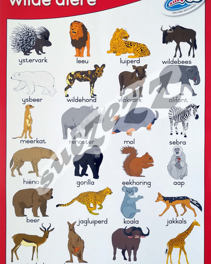 Muurkaart - Wilde Diere