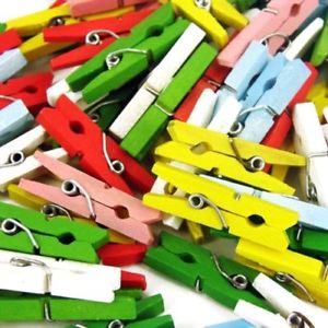 Wood Pegs - Small ass colour 2.5cm